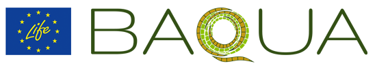 logo life y baqua
